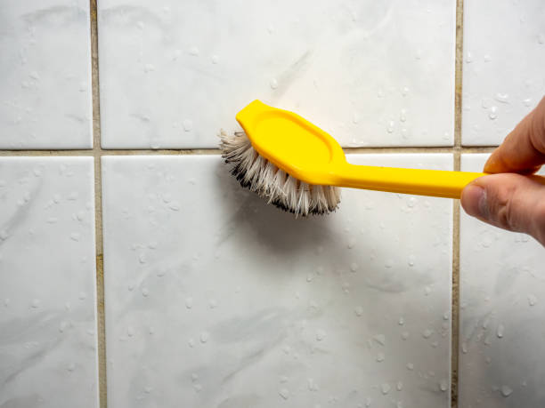 Best Toxic Mold Removal  in Baker City, OR