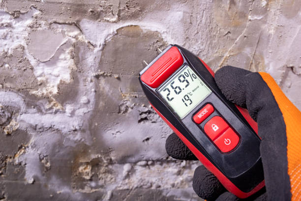 Best Mold Removal Company Near Me  in Baker City, OR