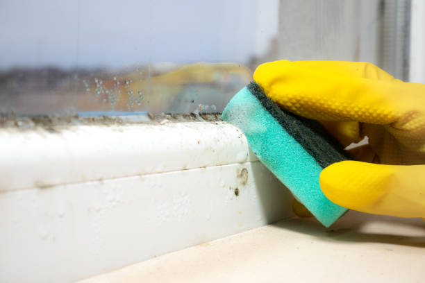 Best Professional Mold Removal  in Baker City, OR