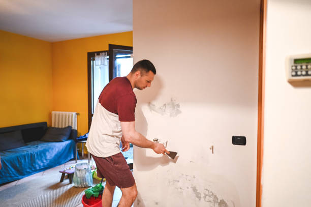 Best Mold Testing and Removal  in Baker City, OR